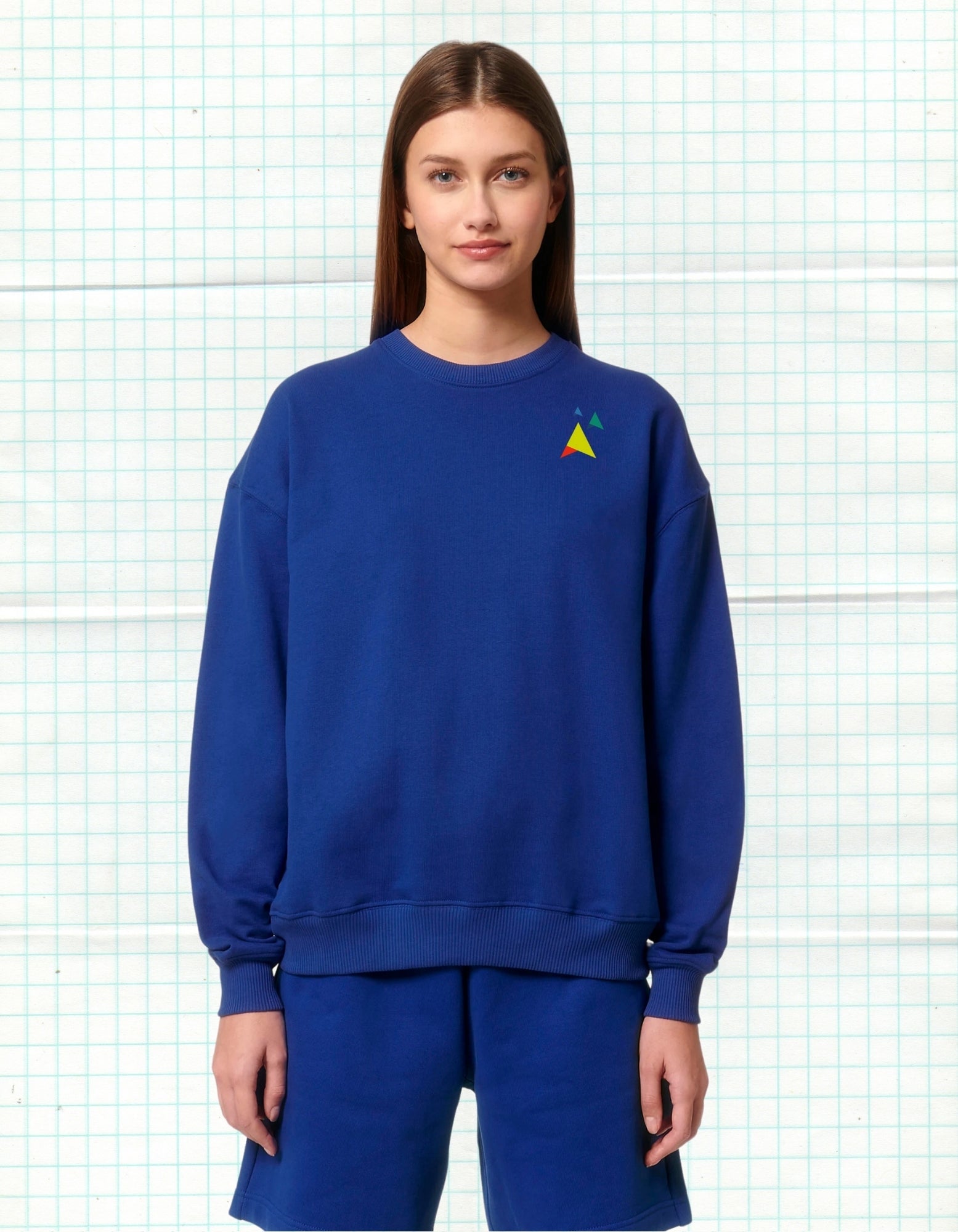 Covered in Spirit – Royal Blue Uniseks Sweater (Ledger Dry) Wegwijzerkampen - JalaJala Artshop